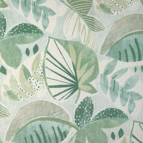 KRAVET - leaf-a-lot - Aloe