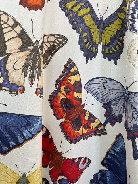 Butterflies - Medium